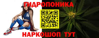 шишки Брянск