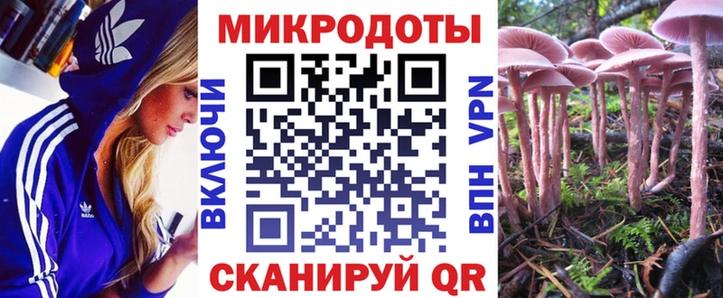 закладки  darknet как зайти  Галлюциногенные грибы мицелий  Коряжма 