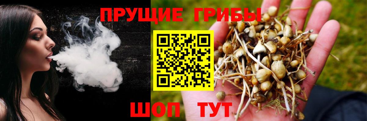 Галлюциногенные грибы Psilocybine cubensis  Вход с VPN  Псилоцибиновые грибы GOLDEN TEACHER  Коряжма 
